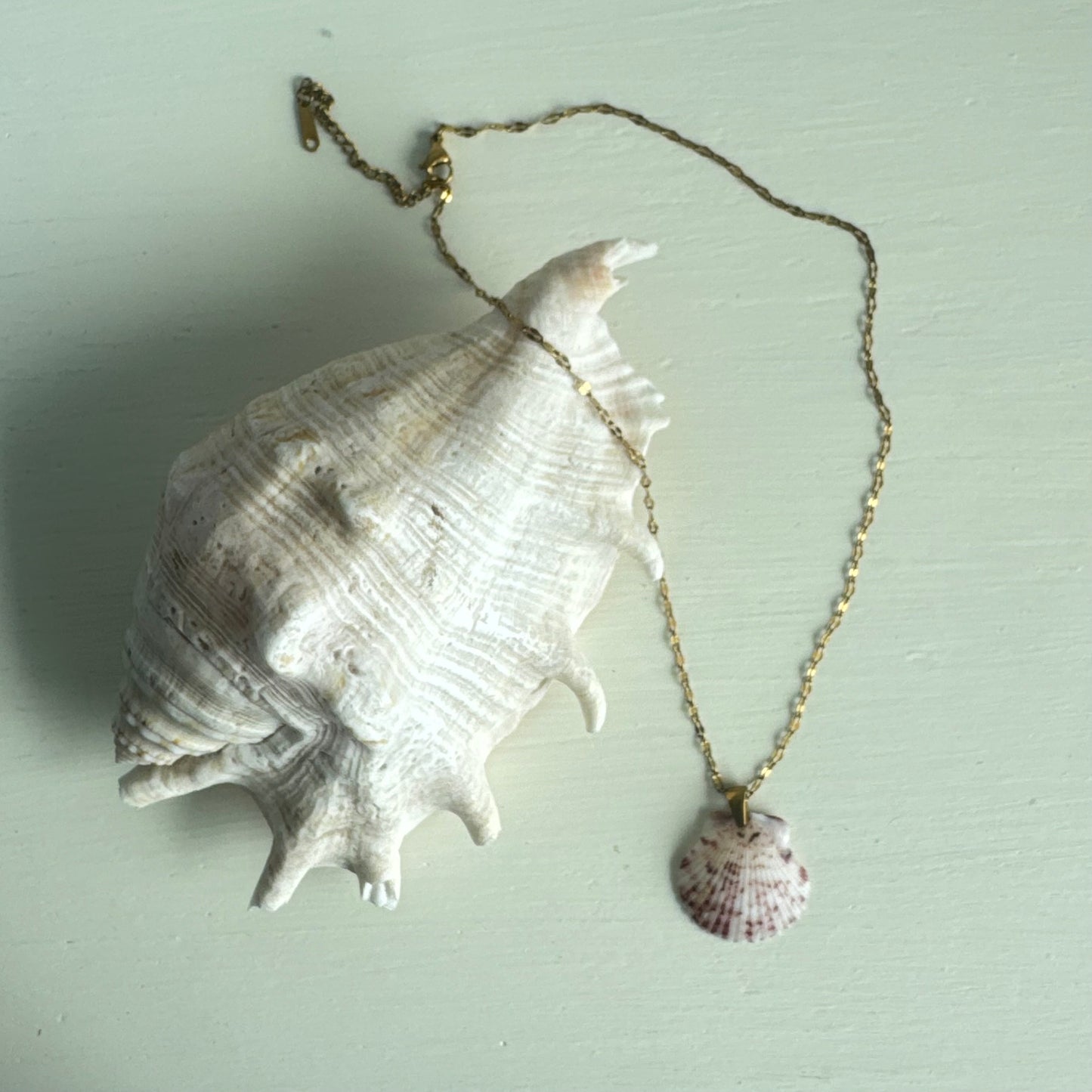 Pass-a-grille shell necklace / Shell + Stone