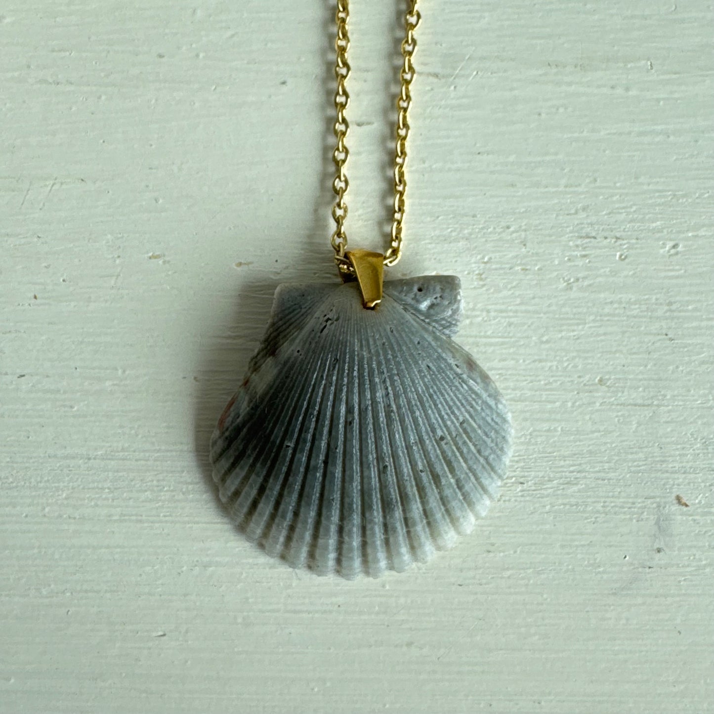 Pass-a-grille Shell necklace / Shell + Stone