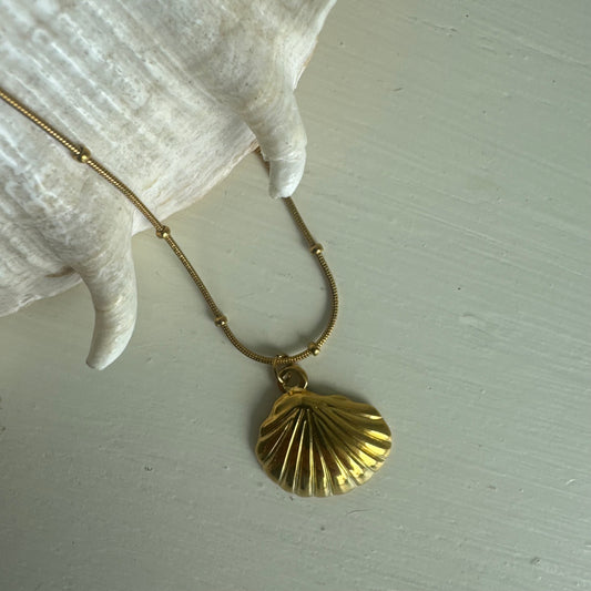 Gold Shell Dainty Necklace