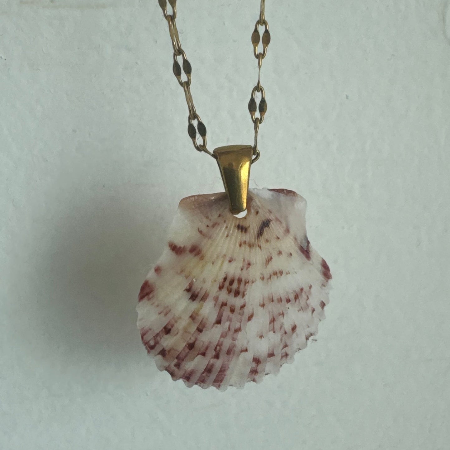 Pass-a-grille shell necklace / shell + stone