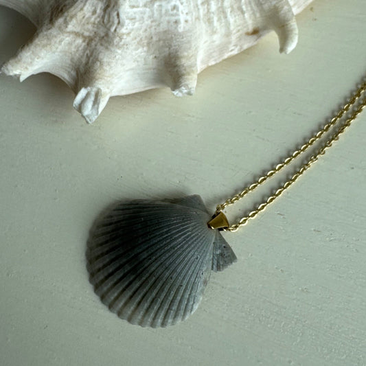 Pass-a-grille Shell necklace / Shell + Stone