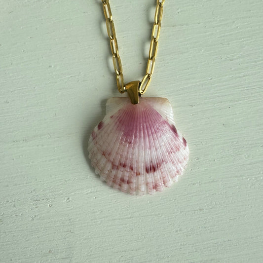 Pass-a-grille Shell Chain Necklace / Shell + Stone