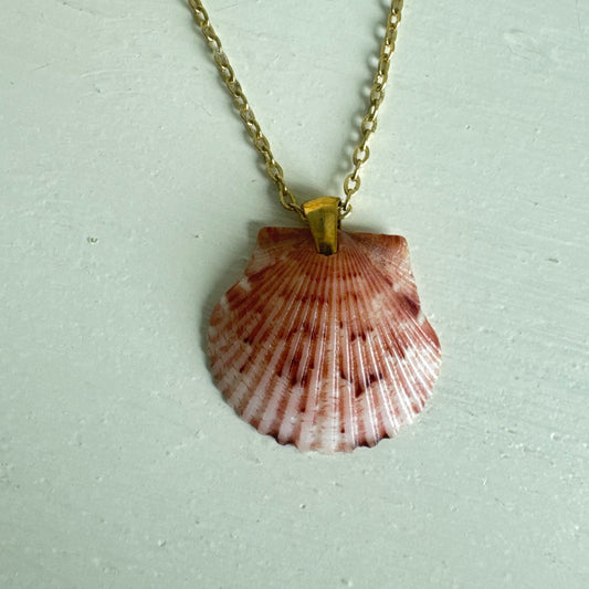 Pass-a-grille shell necklace / Shell + Stone