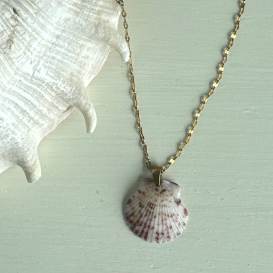 Pass-a-grille shell necklace / shell + stone