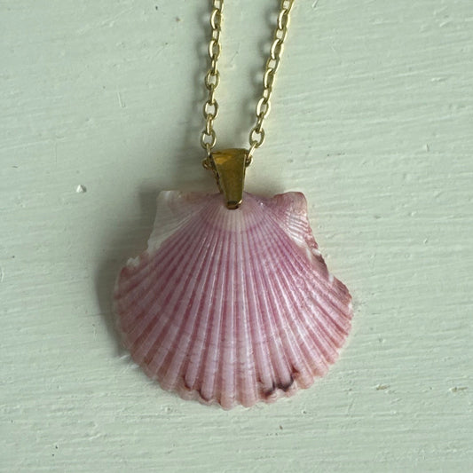 Pass-a-grille shell necklace / Shell + Stone