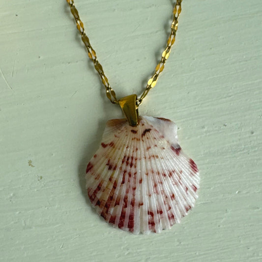 Pass-a-grille shell necklace / Shell + Stone