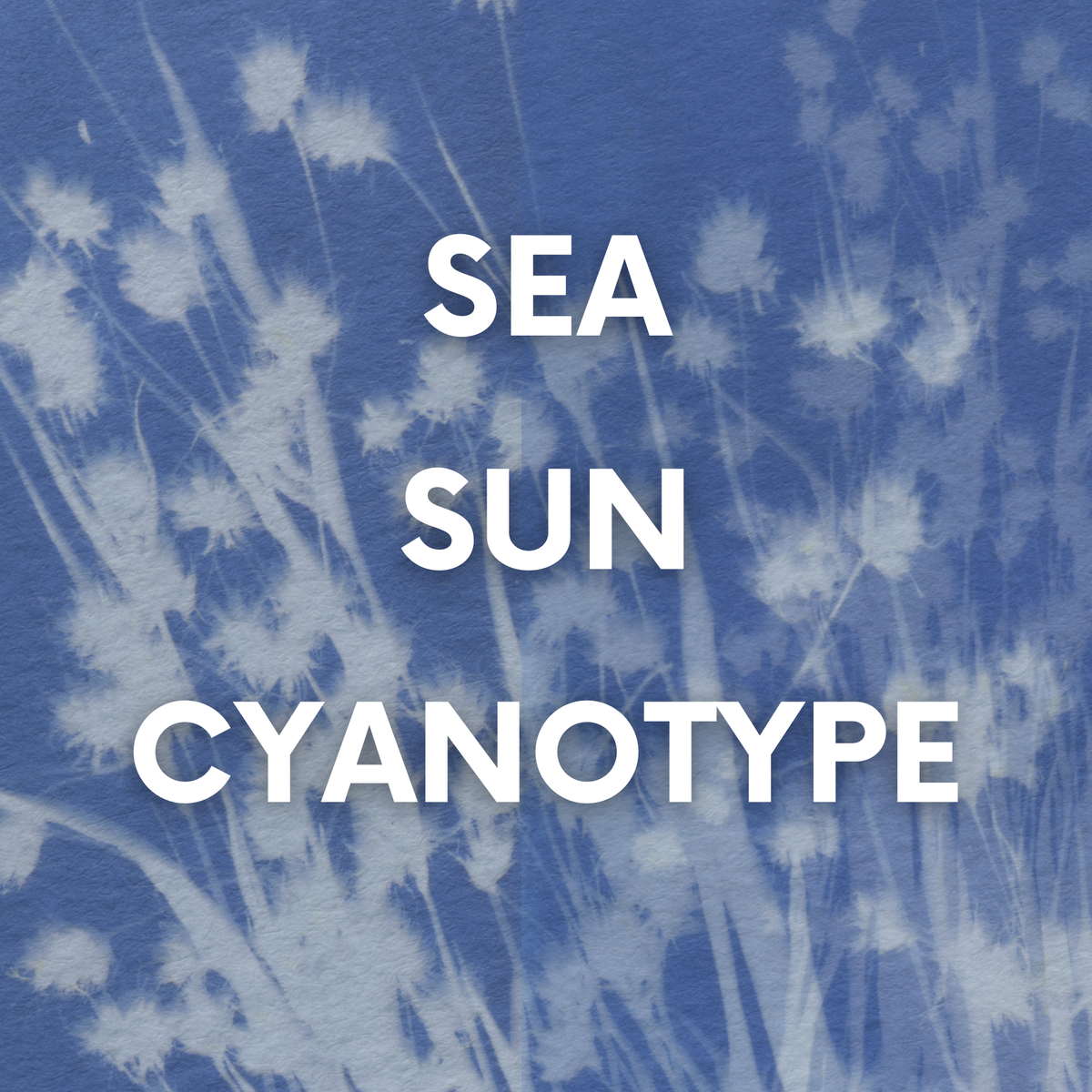 Sea Sun CYANOTYPE! / Ages 7+ with Parent