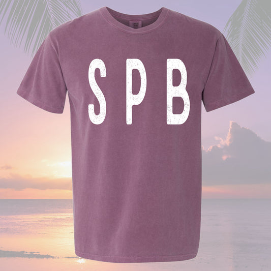 SPB unisex Tee in Vintage Wash
